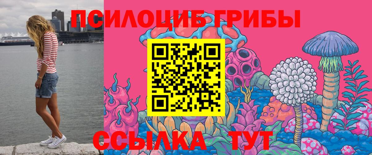 Галлюциногенные грибы мицелий Белгород