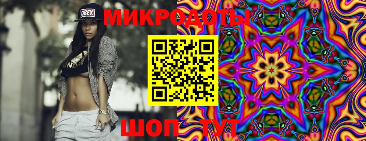 Псилоцибиновые грибы Psilocybe  Белгород 